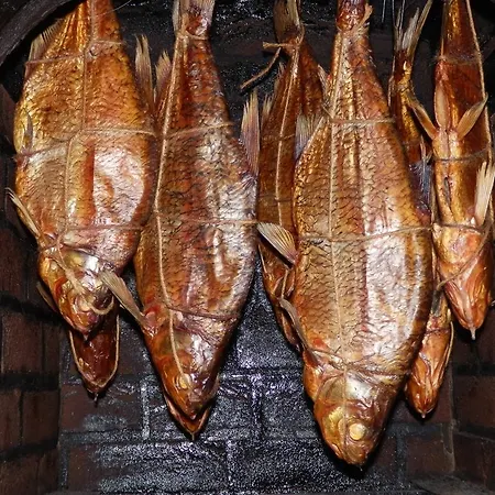 Sloneczny Wodnik *
