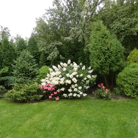 Habitación en casa particular Sloneczny Wodnik Braniewo